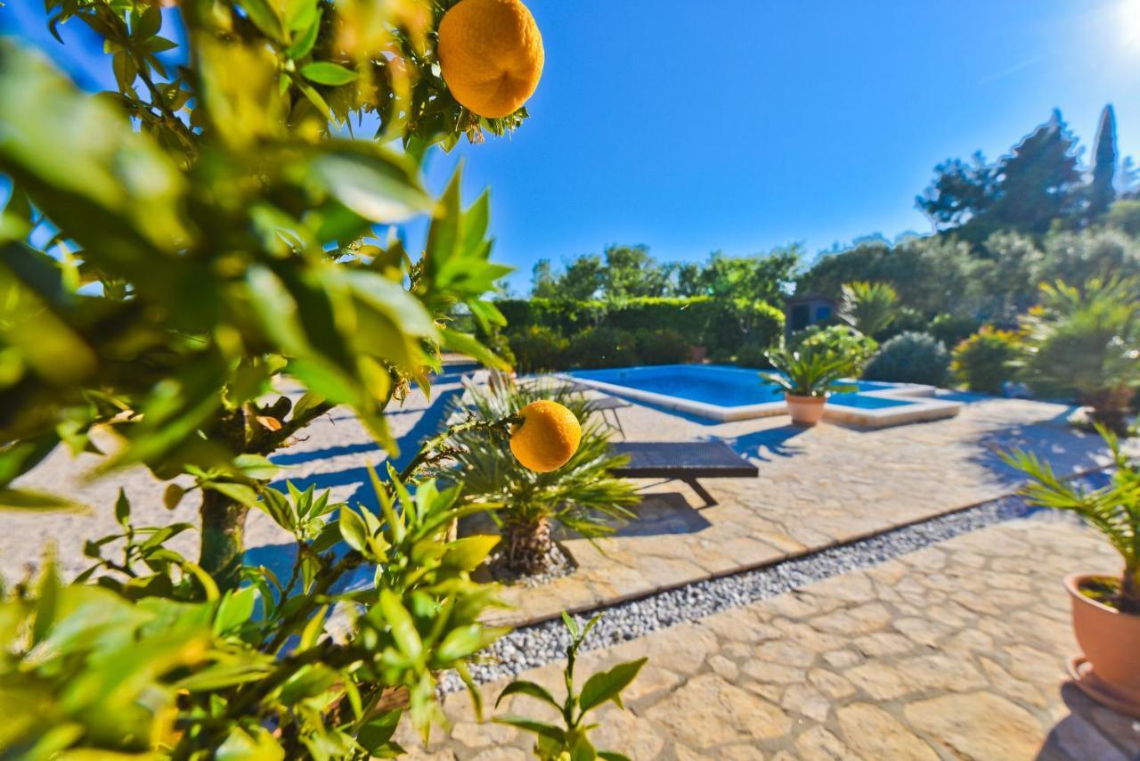 Holiday Home Taras Smilcic Exterior photo
